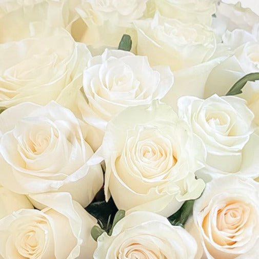 White Petite Bloom – Secret Garden Rose Inc